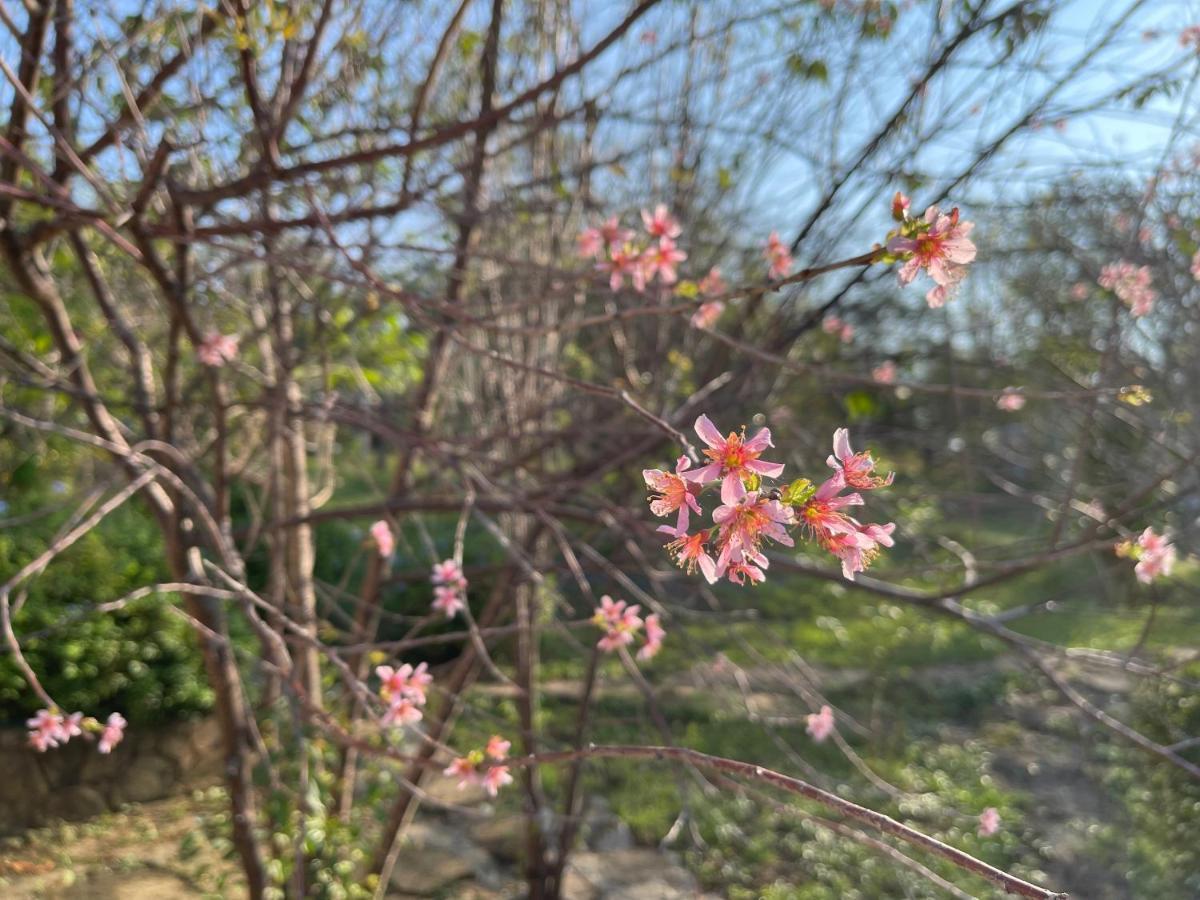 Cozycomo Nam Nao Ban Phu Hi Dış mekan fotoğraf